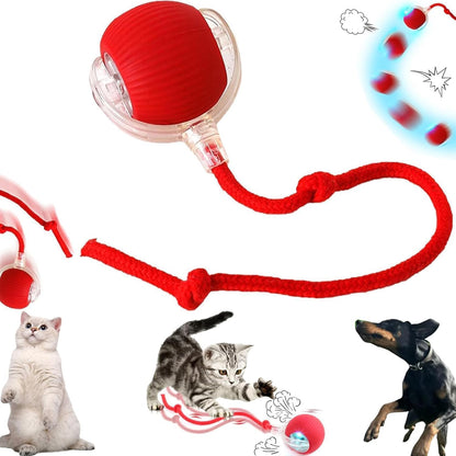 Rechargeable Automatic Electric Pet Toy