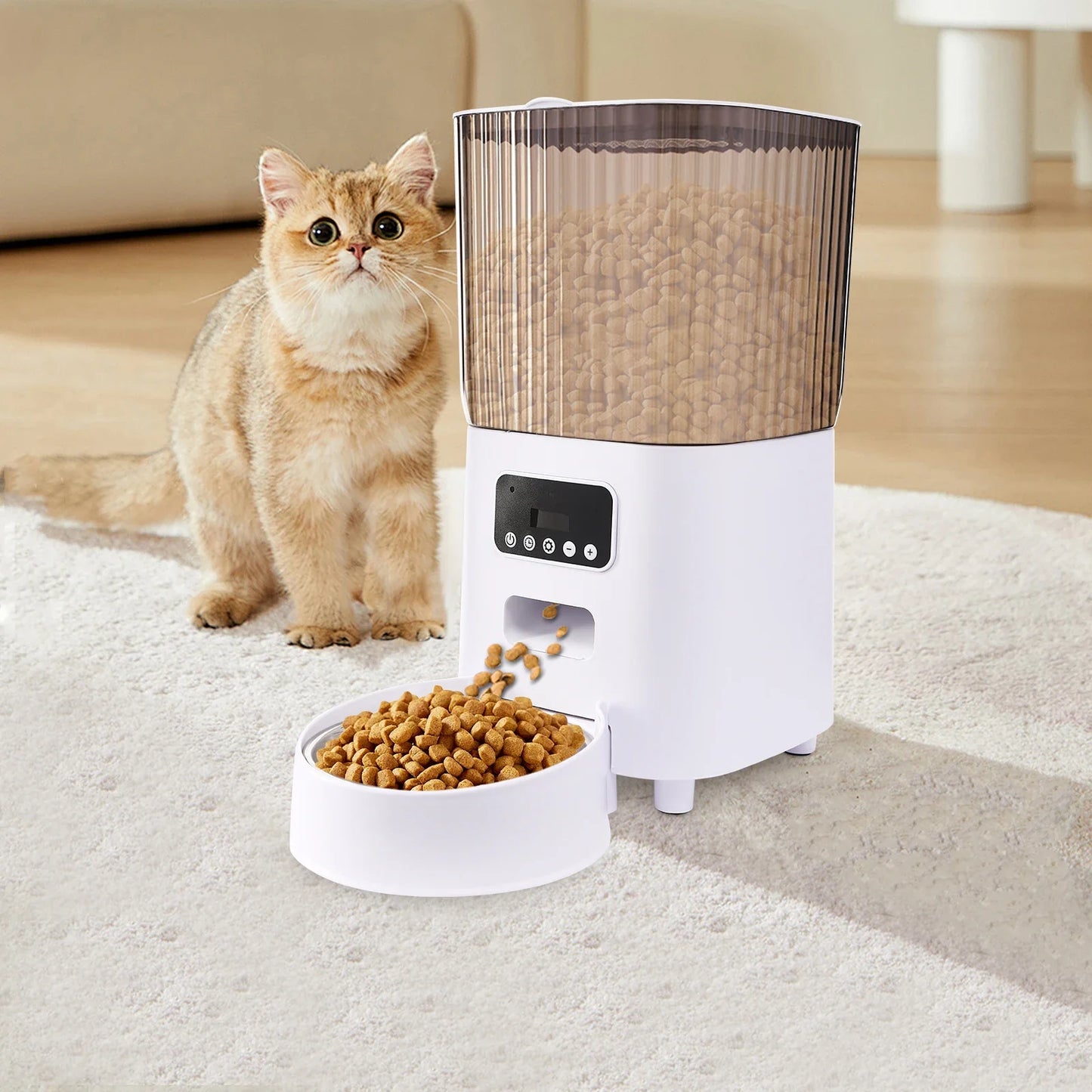 Distributeur automatique intelligent de nourriture pour chat de 5 L