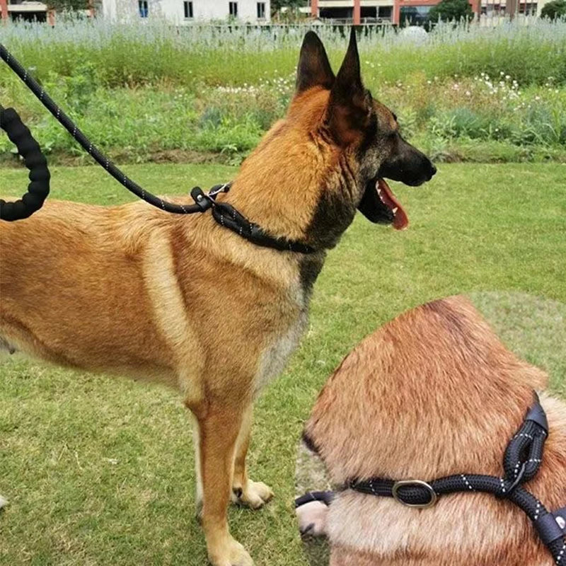 Laisse réfléchissante pour chien