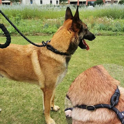 Laisse réfléchissante pour chien