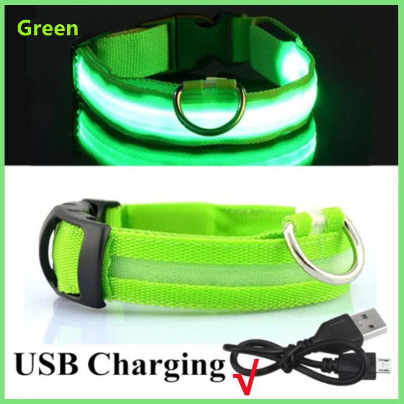 Collier LED rechargeable par USB pour animaux de compagnie