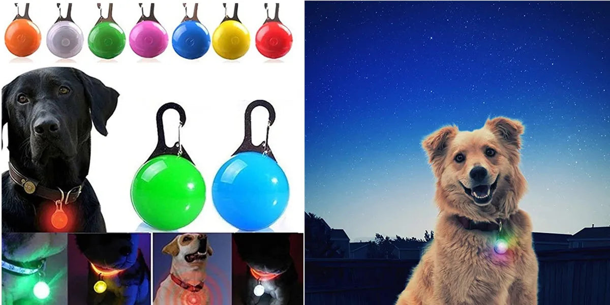 Collier LED rechargeable par USB pour animaux de compagnie