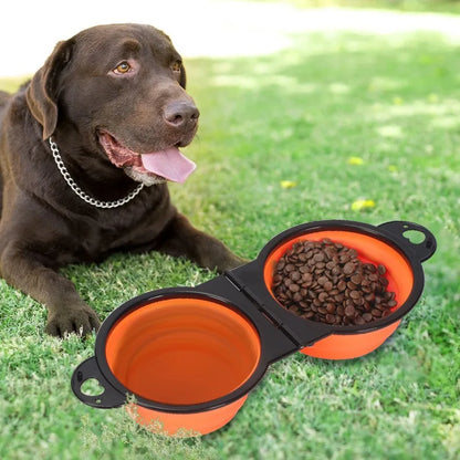 2-in-1 Collapsible Double Feeding Bowl