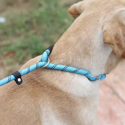 Laisse réfléchissante pour chien