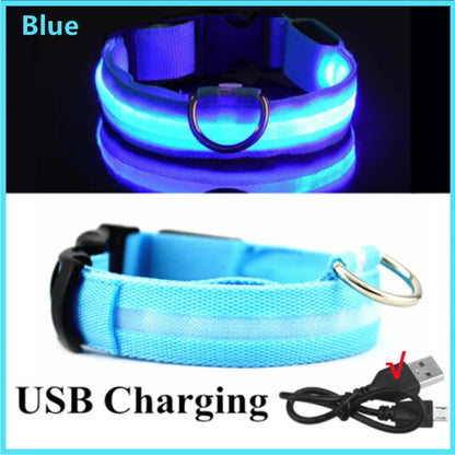 Collier LED rechargeable par USB pour animaux de compagnie