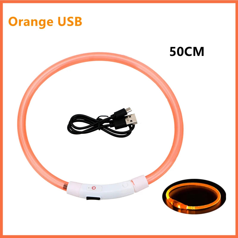 USB Rechargeable LED Pet Collar