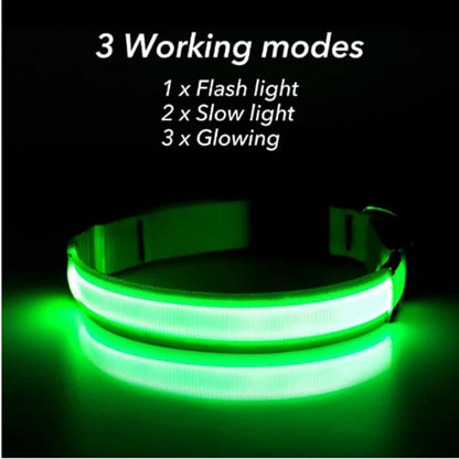 Collier LED rechargeable par USB pour animaux de compagnie