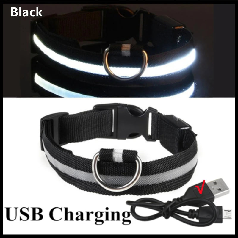 Collier LED rechargeable par USB pour animaux de compagnie