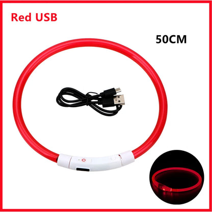 USB Rechargeable LED Pet Collar