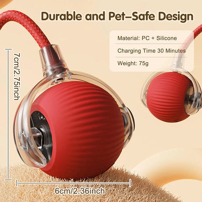 Rechargeable Automatic Electric Pet Toy