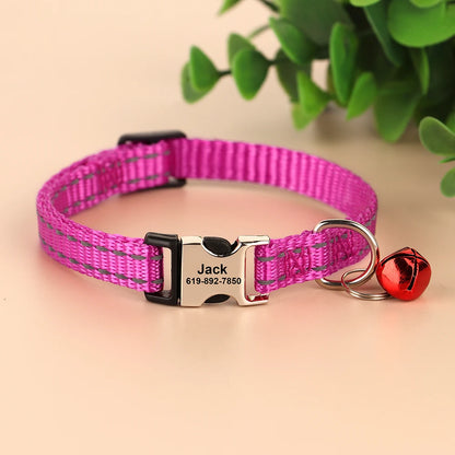 Collier réfléchissant personnalisé pour chat et chien