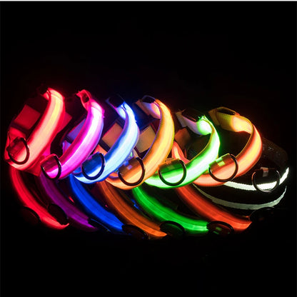 Collier LED rechargeable par USB pour animaux de compagnie