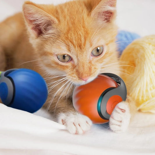 Balles à mouvement automatique pour chats et chiens