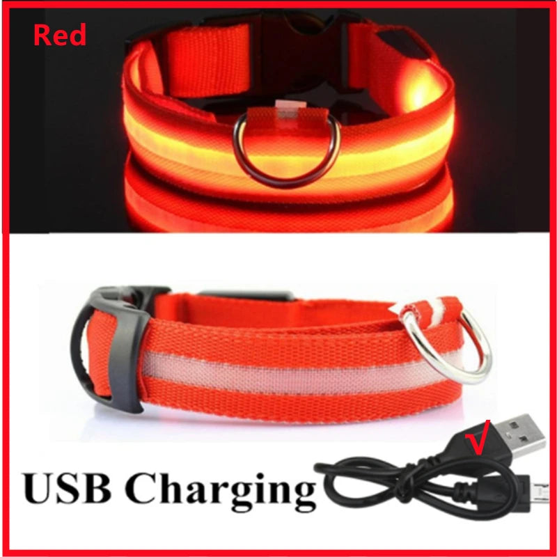 Collier LED rechargeable par USB pour animaux de compagnie