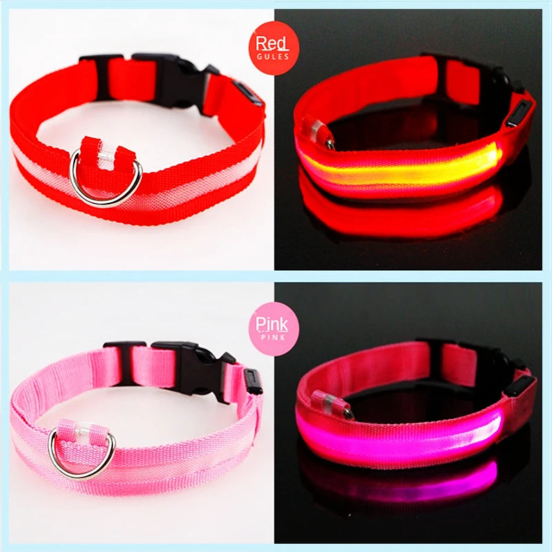 Collier LED rechargeable par USB pour animaux de compagnie