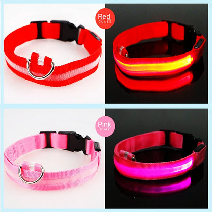 USB Rechargeable LED Pet Collar