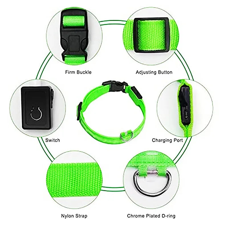 USB Rechargeable LED Pet Collar