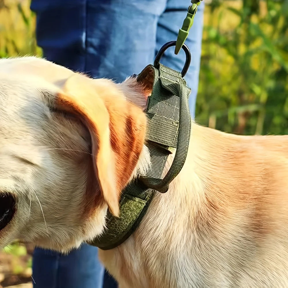 Ensemble collier et laisse de dressage tactique réglable pour chien