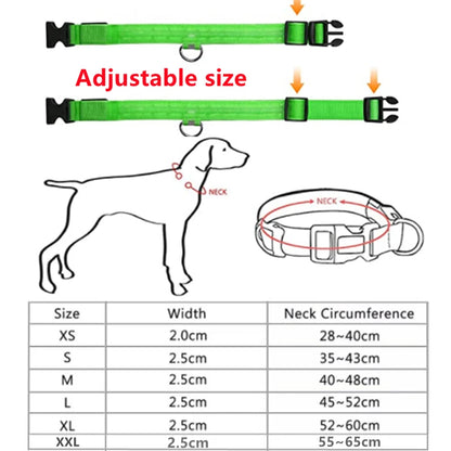 Collier LED rechargeable par USB pour animaux de compagnie