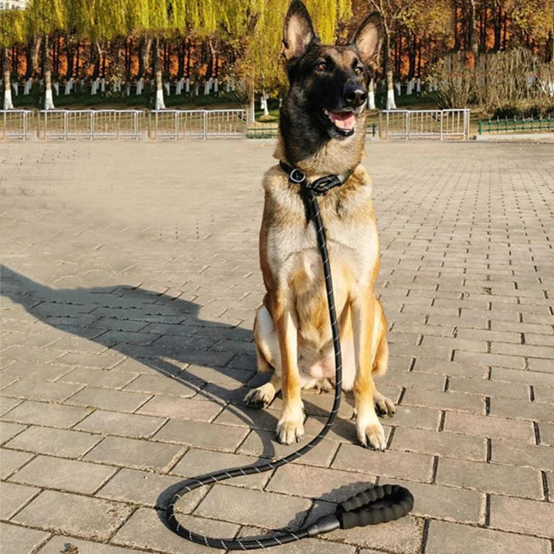 Laisse réfléchissante pour chien