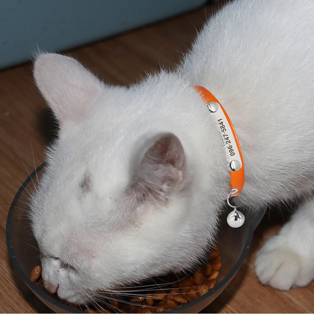 Collier de chat en cuir personnalisé