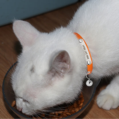 Personalized Leather Cat Collar