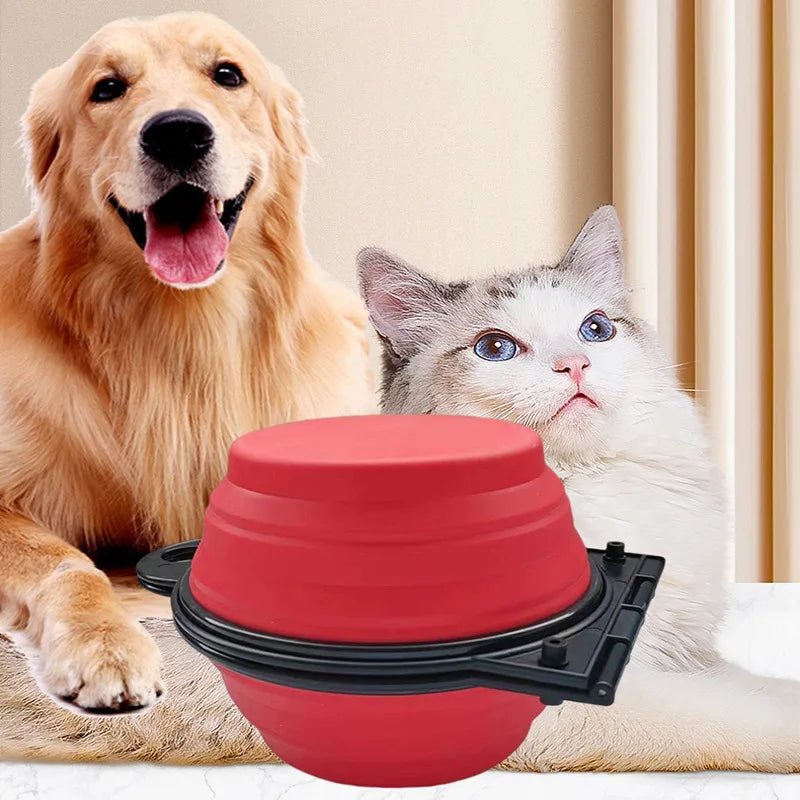 2-in-1 Collapsible Double Feeding Bowl