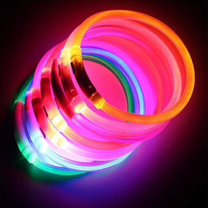 Collier LED rechargeable par USB pour animaux de compagnie