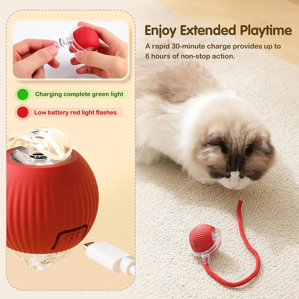 Rechargeable Automatic Electric Pet Toy