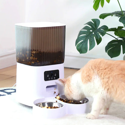 Distributeur automatique de nourriture pour chats et chiens