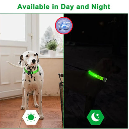 Collier LED rechargeable par USB pour animaux de compagnie