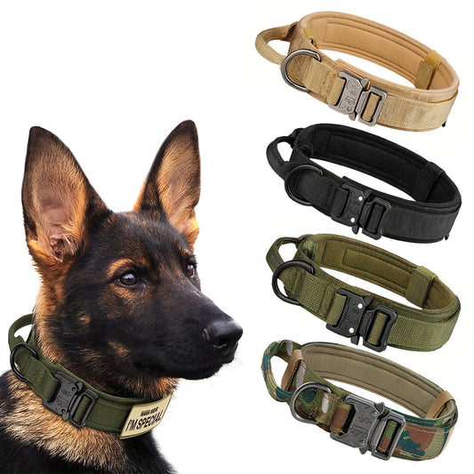 Ensemble collier et laisse de dressage tactique réglable pour chien