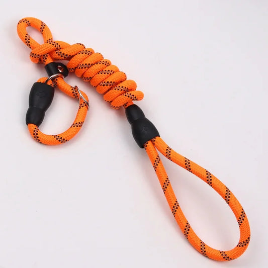 Reflective Dog Leash