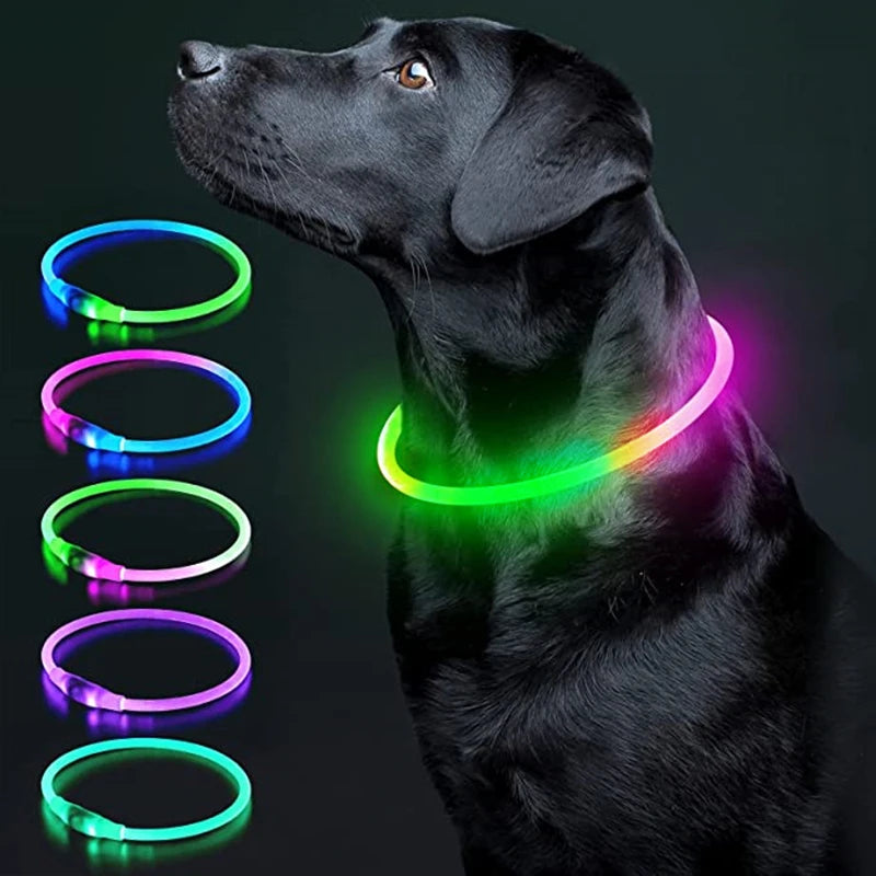 Collier LED rechargeable par USB pour animaux de compagnie