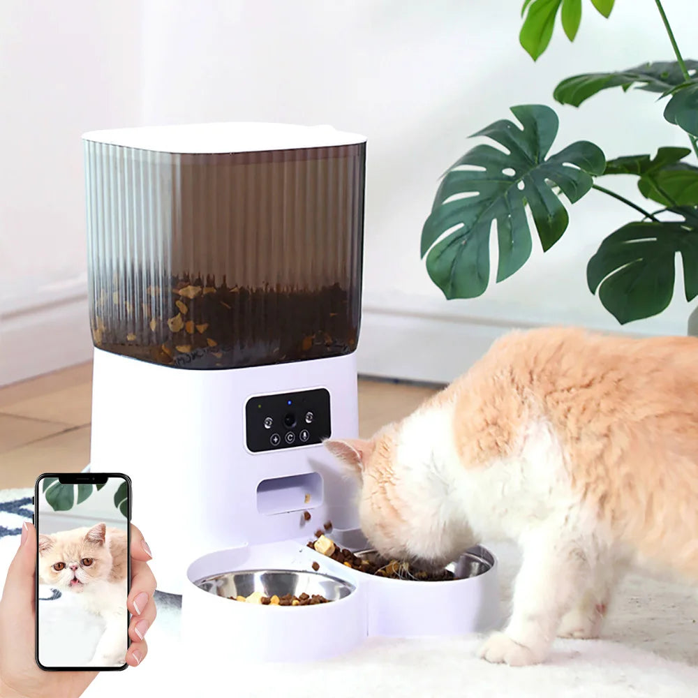 Distributeur automatique de nourriture pour chats et chiens