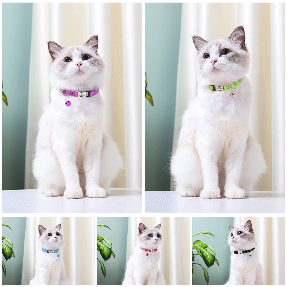 Collier réfléchissant personnalisé pour chat et chien