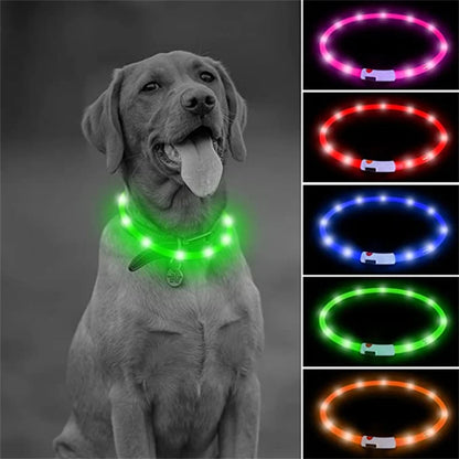 Collier LED rechargeable par USB pour animaux de compagnie