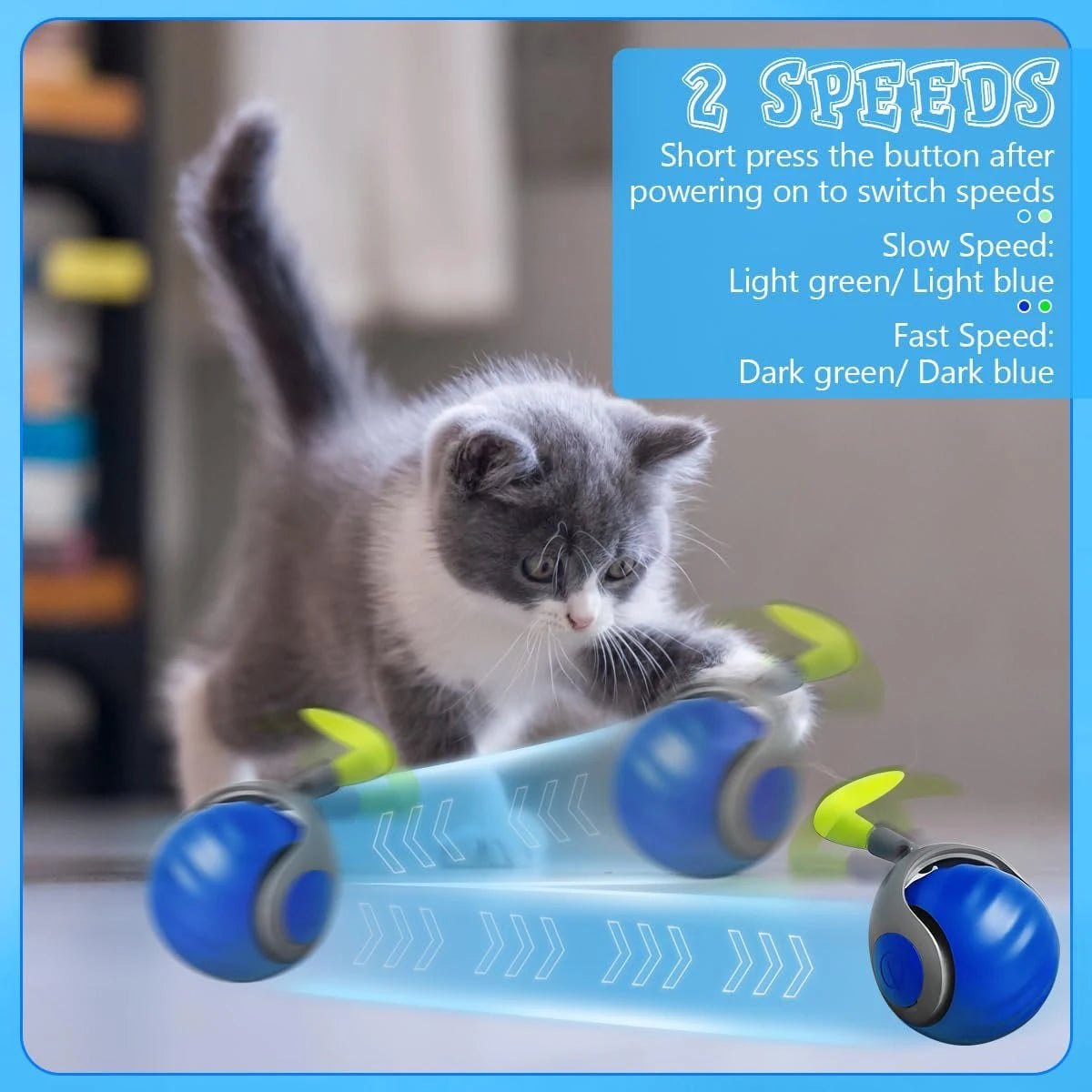 Automatic Moving Balls for Cats & Dogs