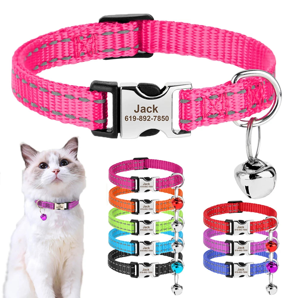 Collier réfléchissant personnalisé pour chat et chien