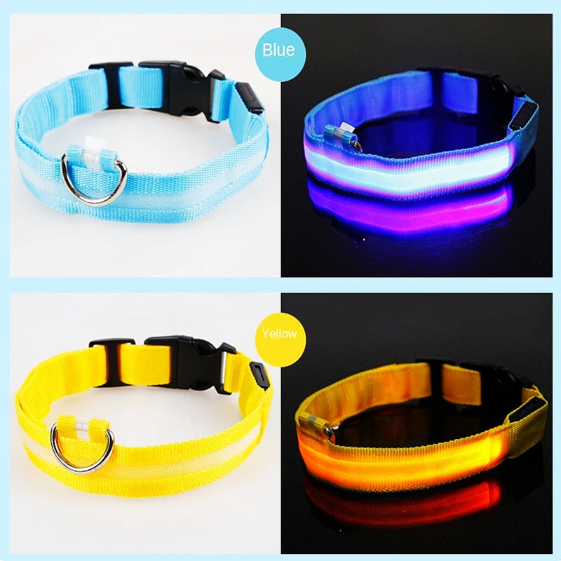 Collier LED rechargeable par USB pour animaux de compagnie