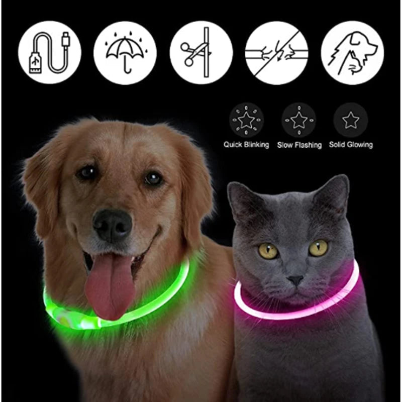 Collier LED rechargeable par USB pour animaux de compagnie