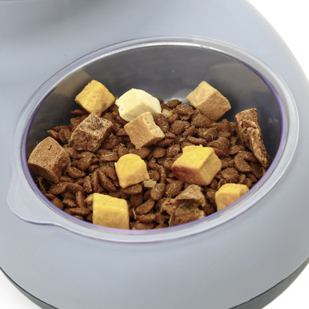 2-in-1 Automatic Pet Water Drinker & Food Bowl