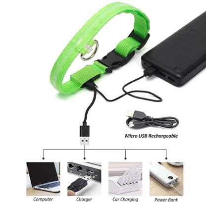 Collier LED rechargeable par USB pour animaux de compagnie