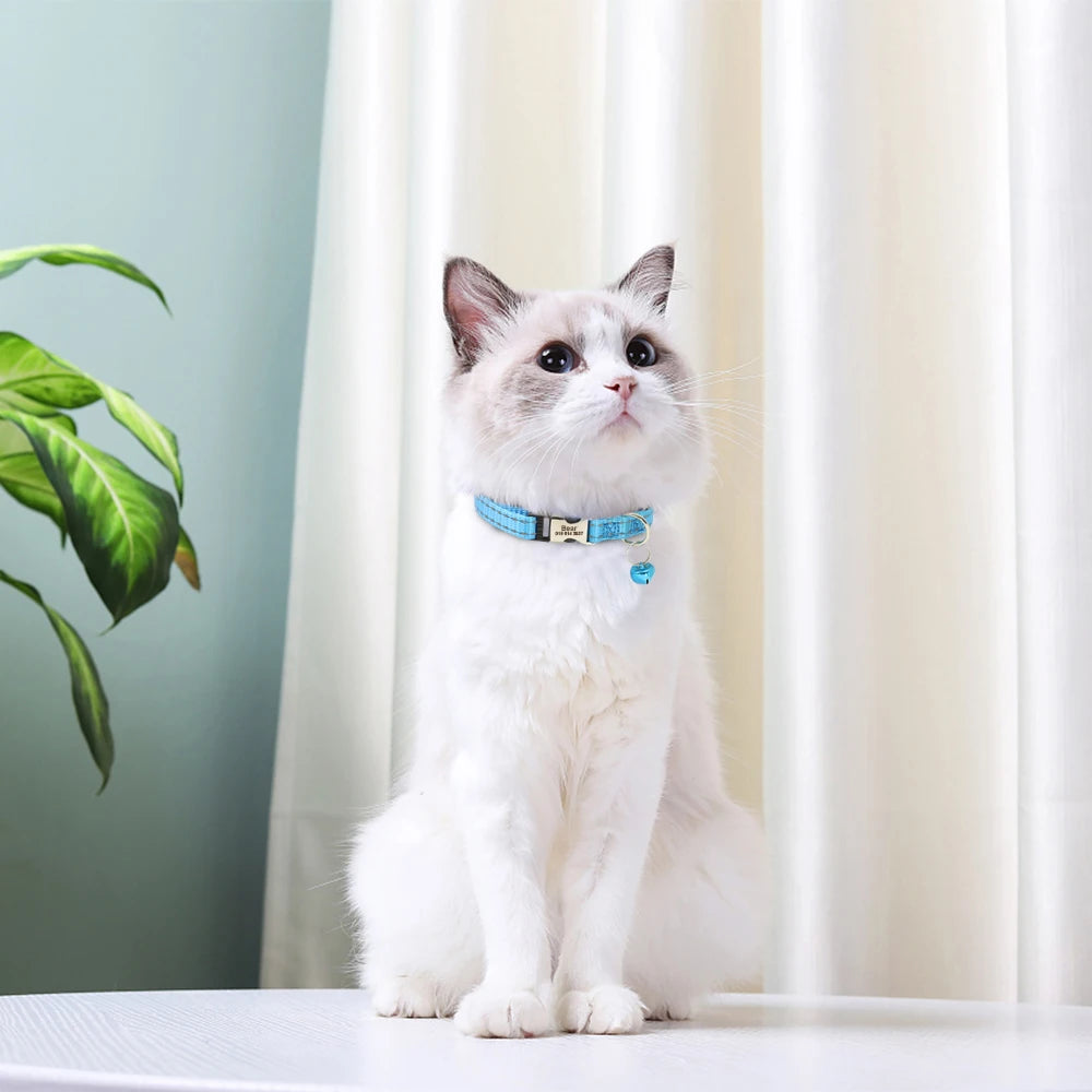 Collier réfléchissant personnalisé pour chat et chien