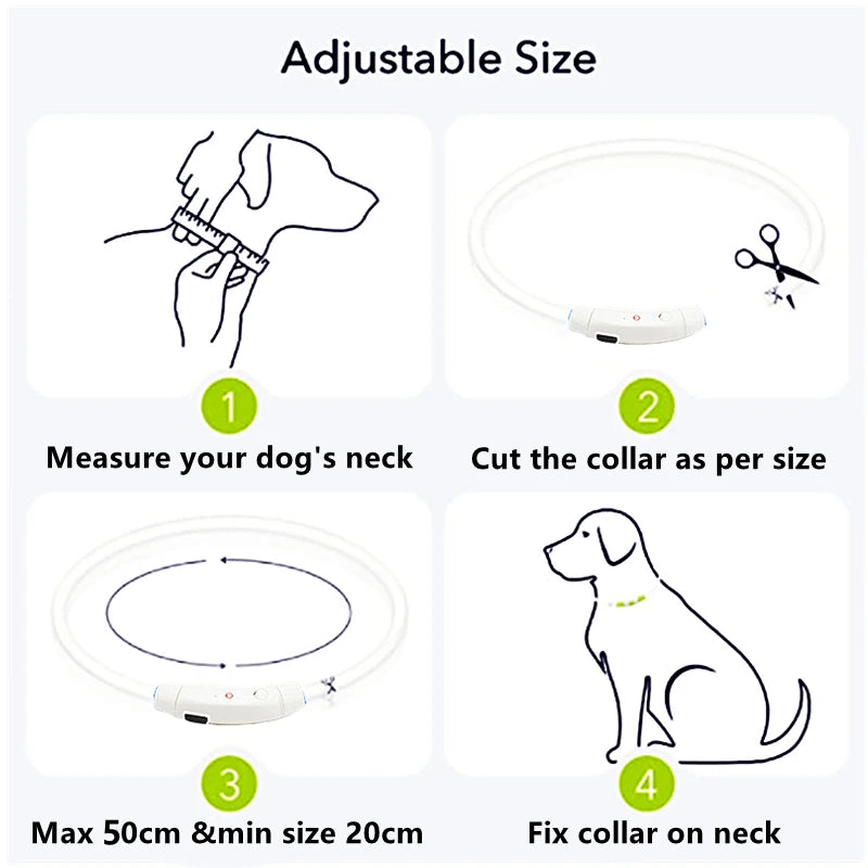 USB Rechargeable LED Pet Collar