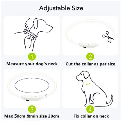 Collier LED rechargeable par USB pour animaux de compagnie