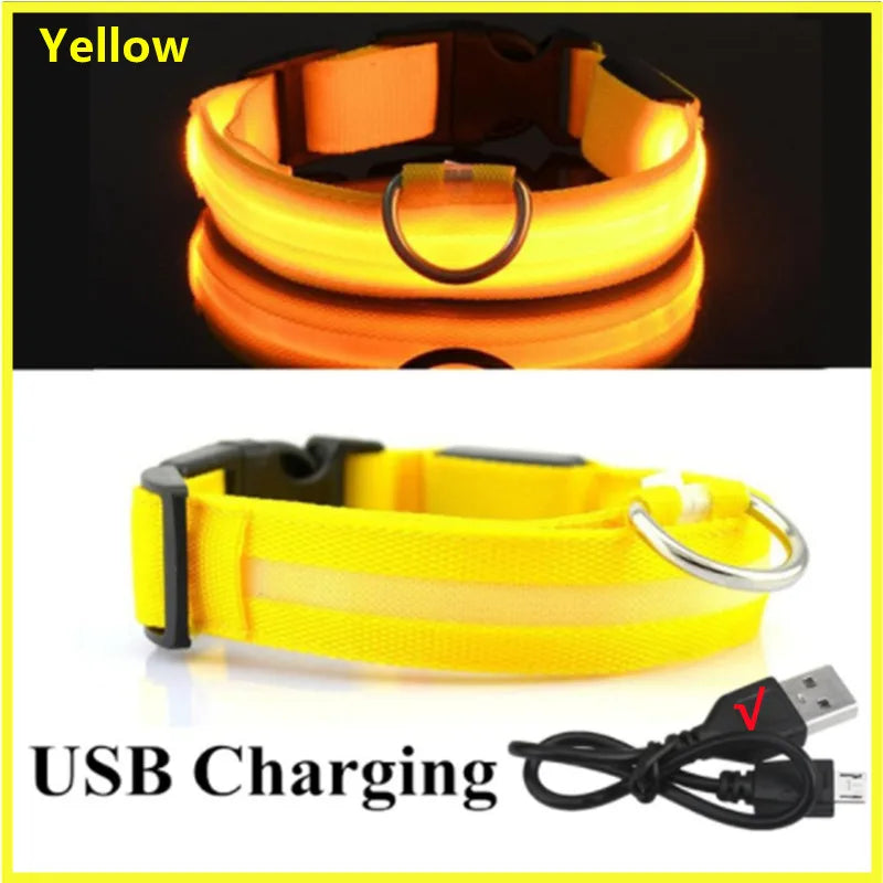 USB Rechargeable LED Pet Collar