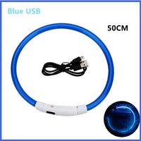 Blue USB 50CM