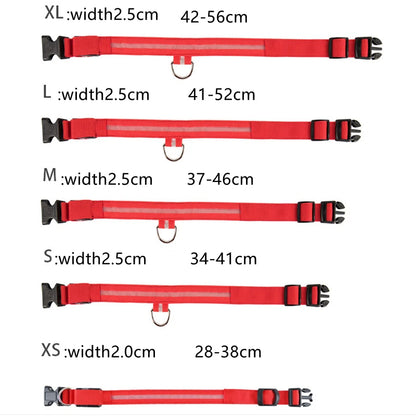 Wiederaufladbares LED-Haustierhalsband über USB