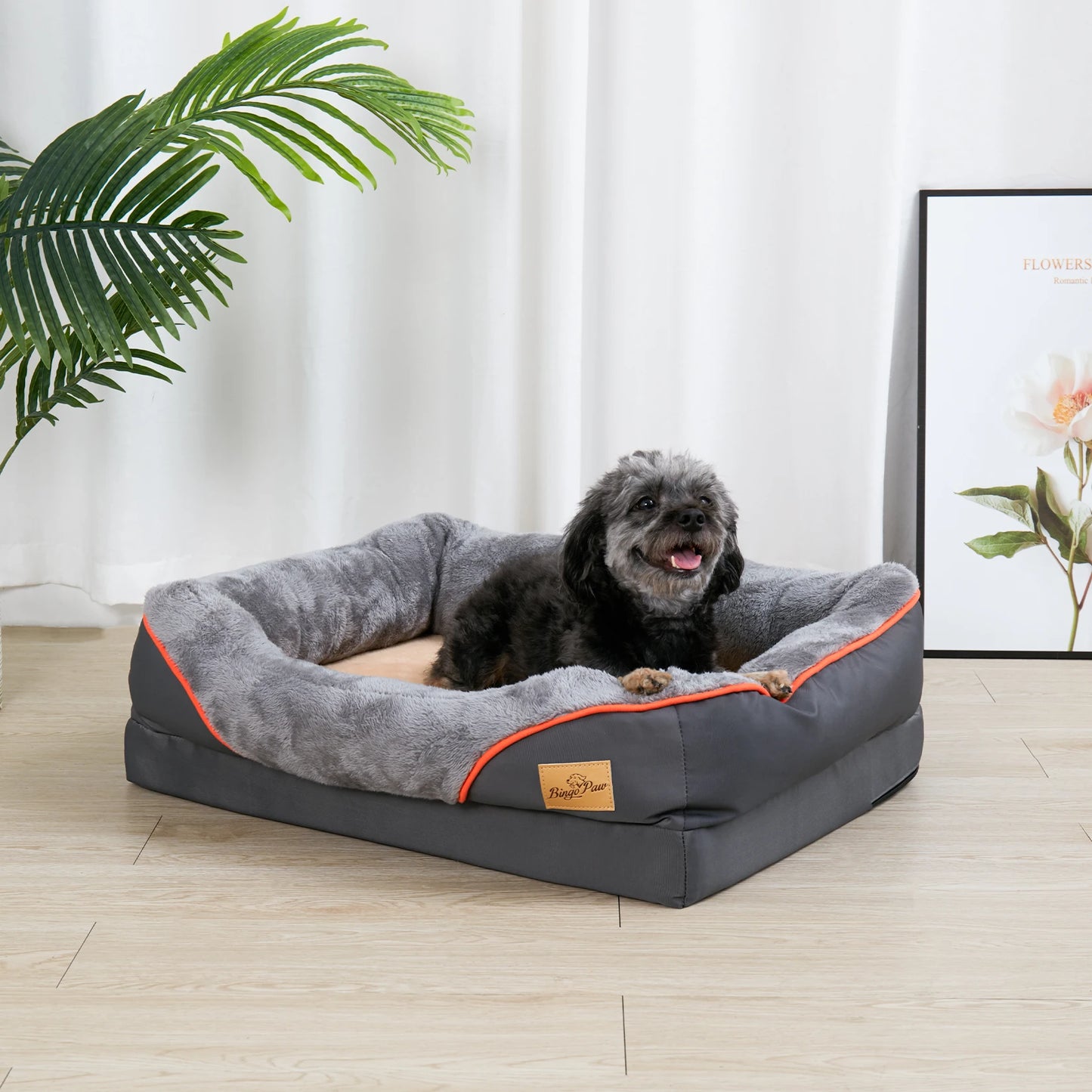 Orthopedic Dog Bed with Super Soft Foam